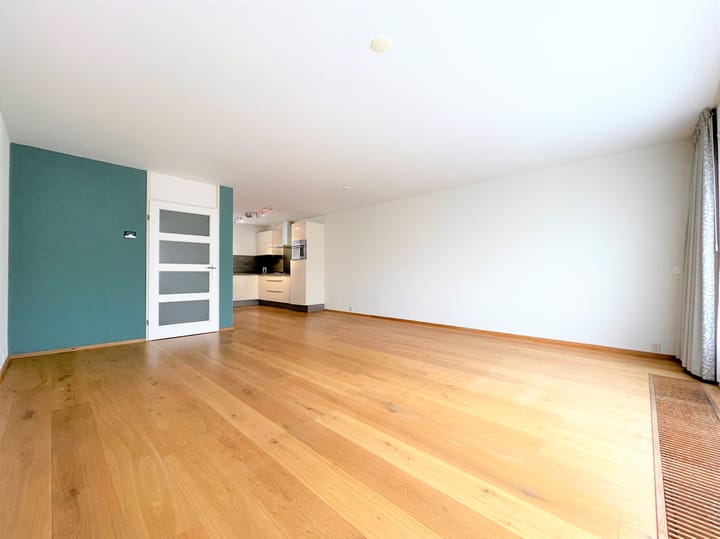 Foto 3 van Grote Lijster 55