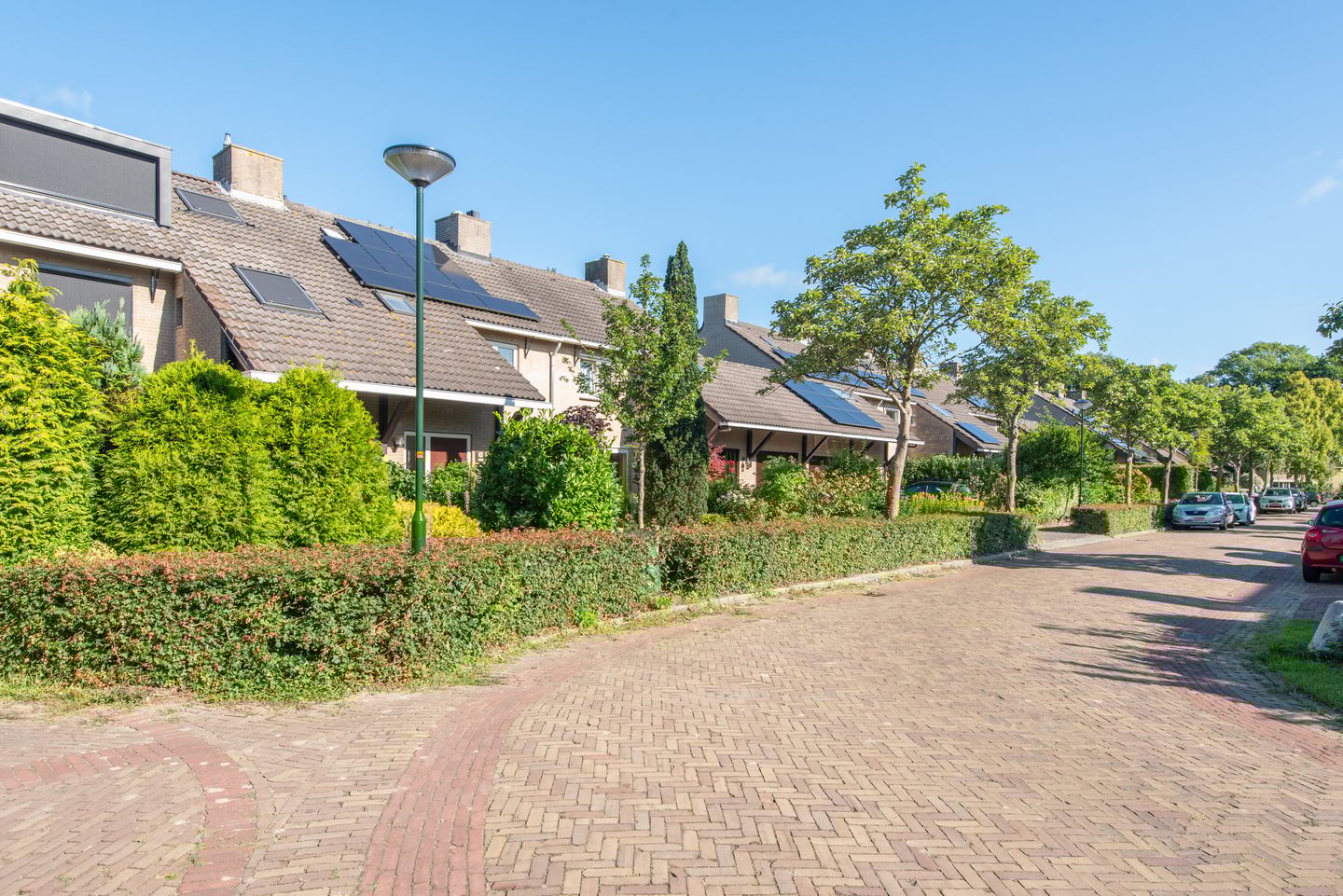 Foto 44 van Harrelaers 51