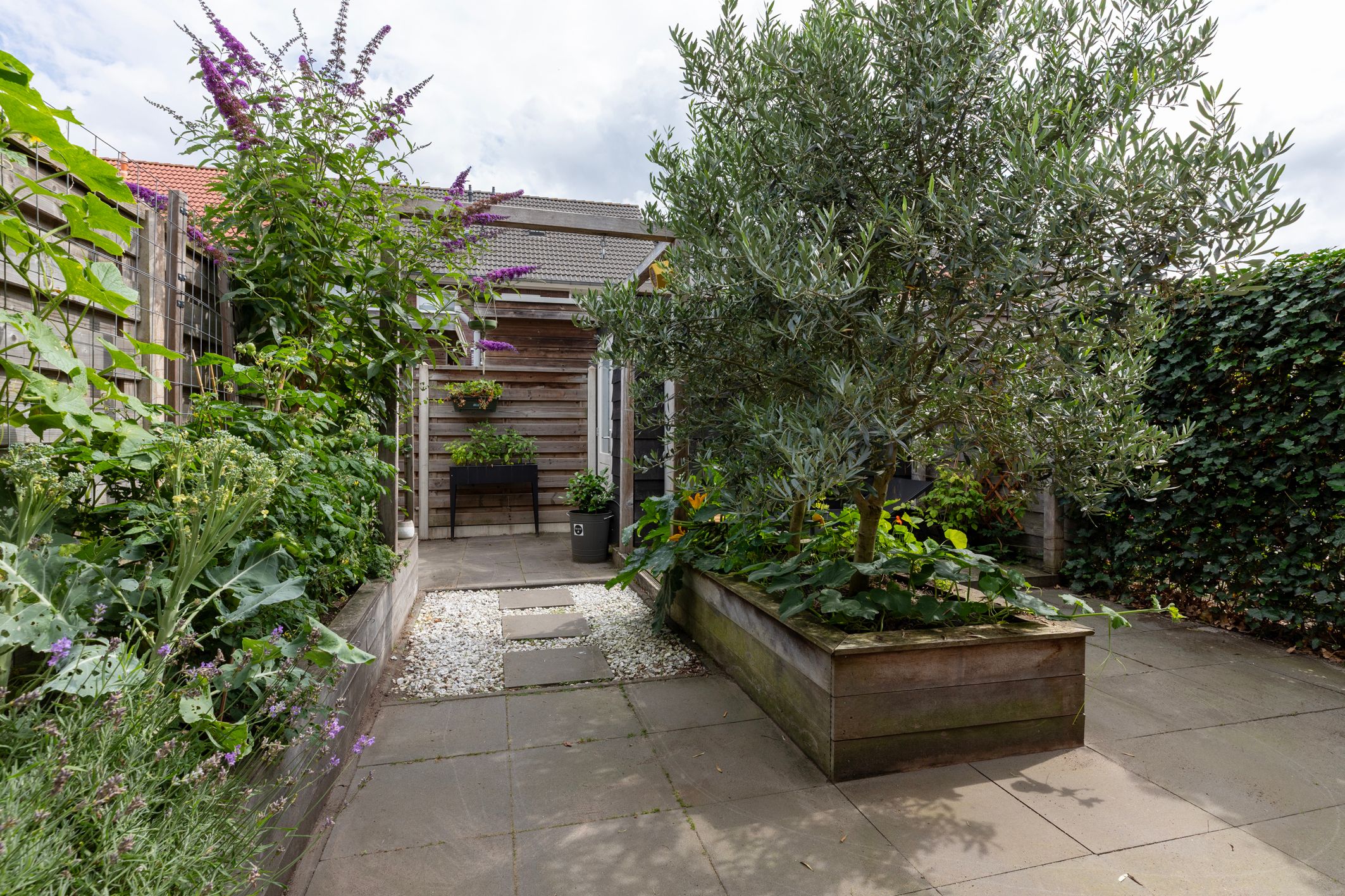 Foto 33 van Weldadigheid 51