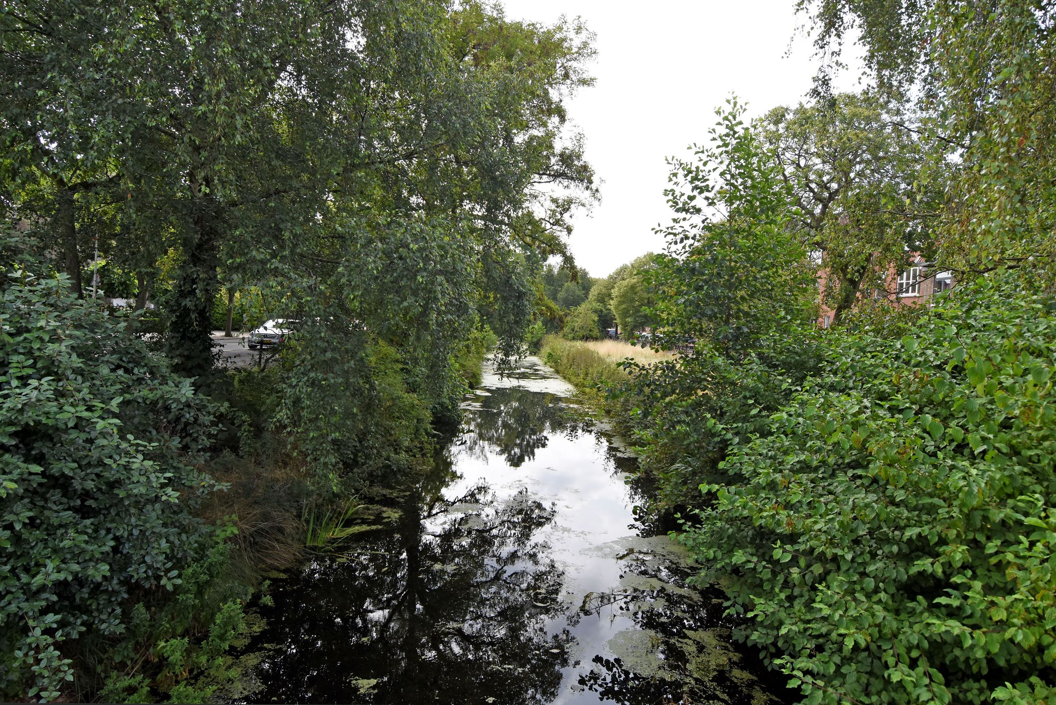 Foto 24 van Hart Nibbrigkade 71-46