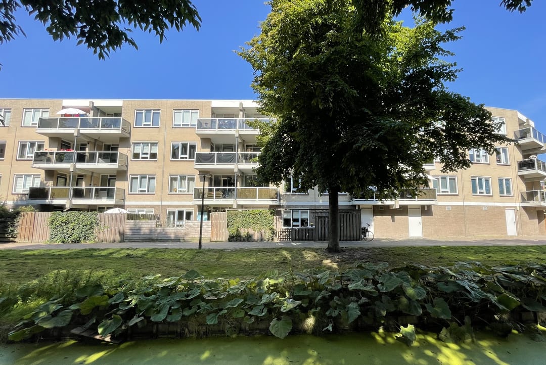 Photo 23 of Zandbank 49