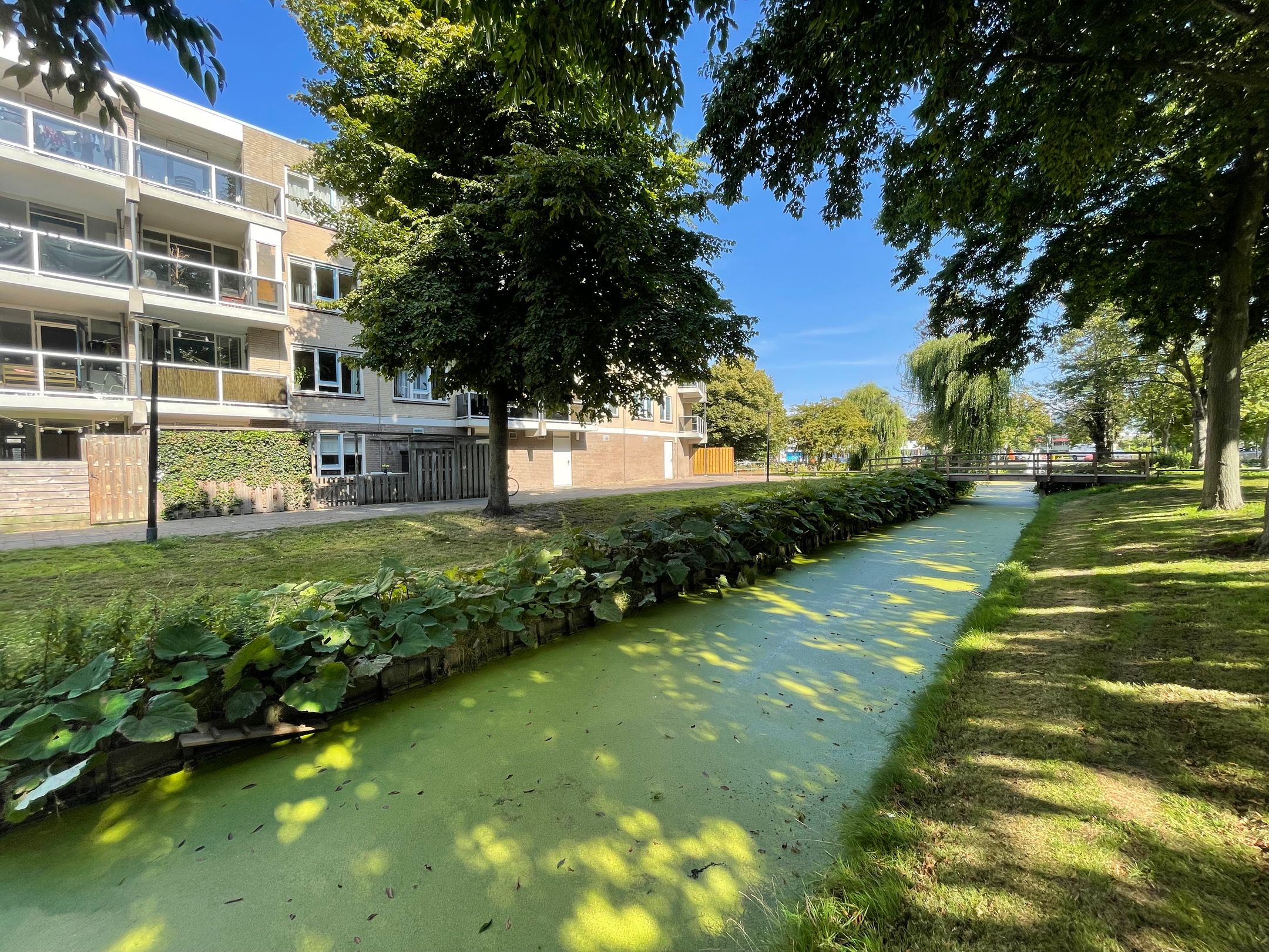 Photo 24 of Zandbank 49