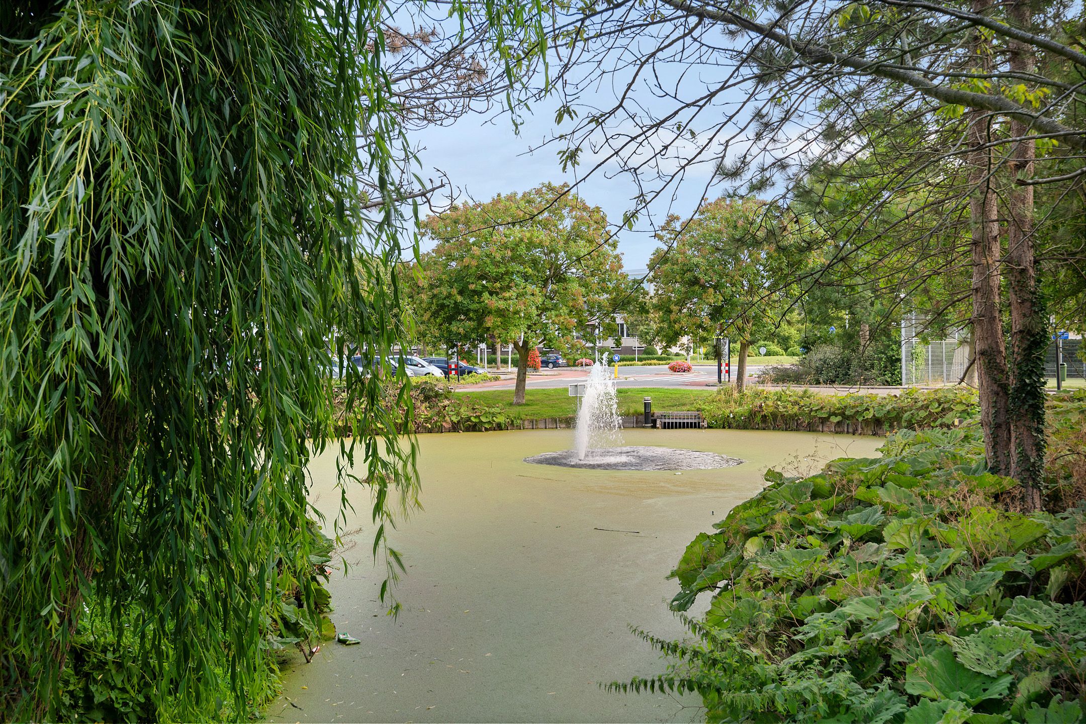 Photo 30 of Zandbank 49