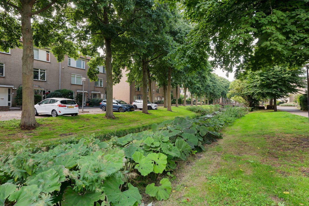 Photo 31 of Zandbank 49