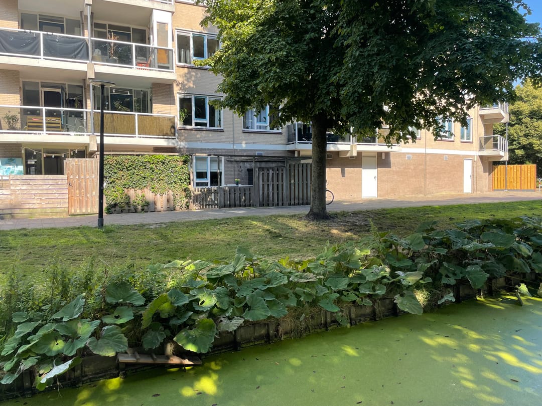 Photo 32 of Zandbank 49