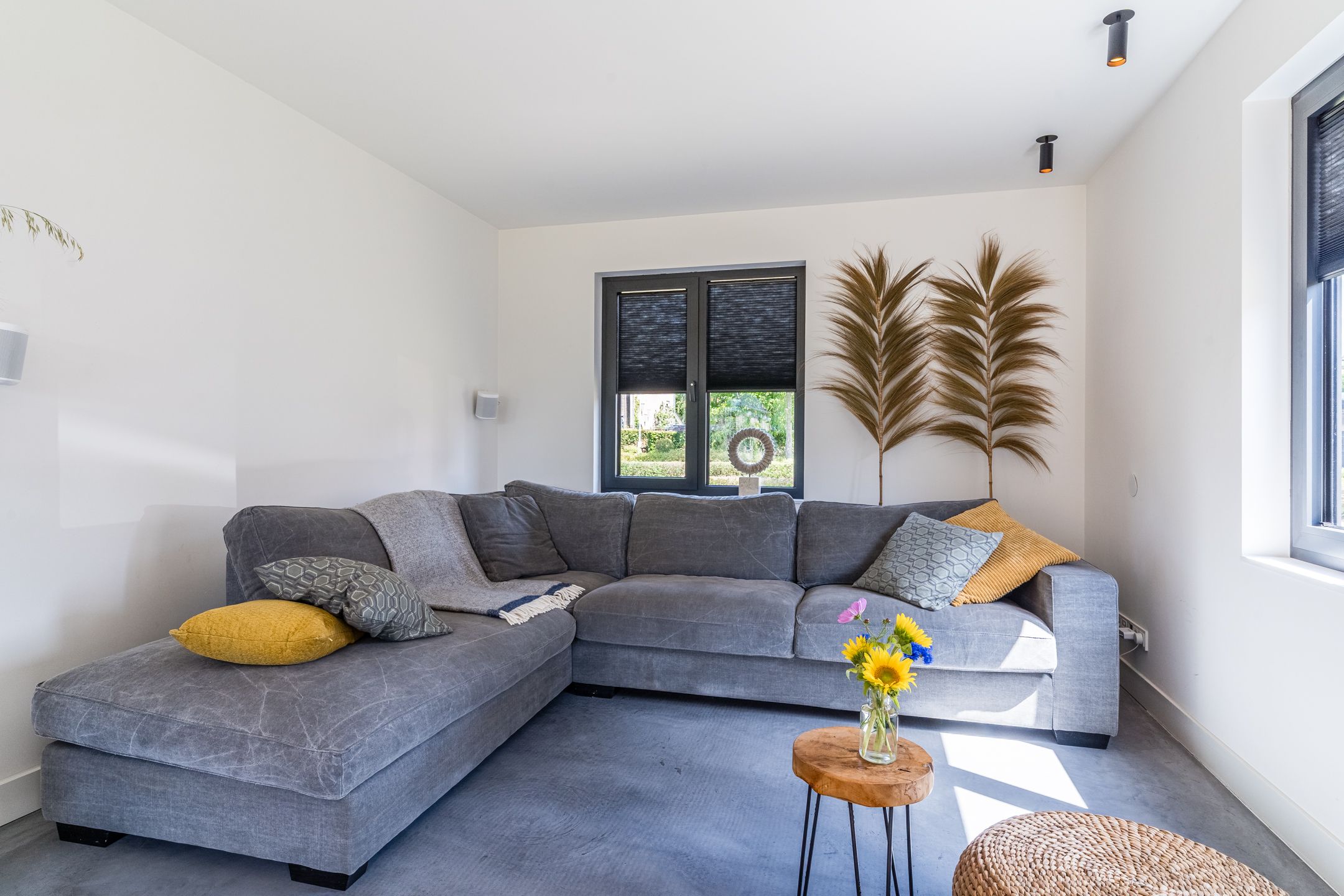 Photo 12 of Dongenseweg 23