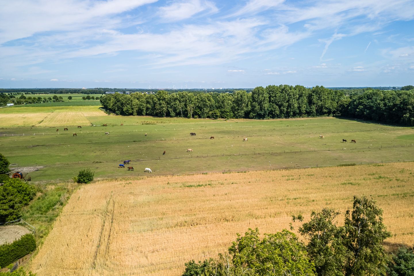 Photo 59 of Dongenseweg 23