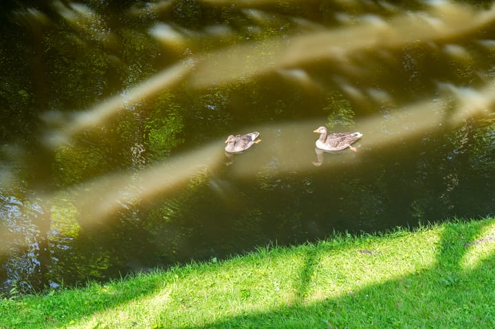 Photo 14 of Jupiterstraat 118