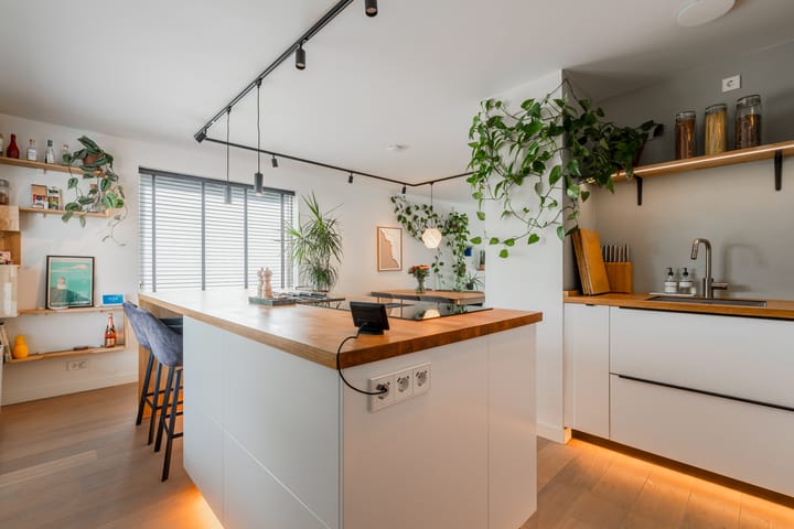 Foto 20 van L. Springerstraat 64