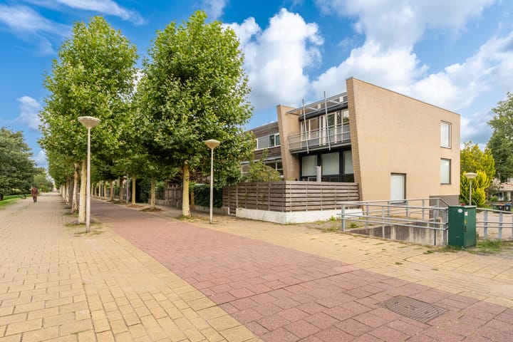 Foto 41 van L. Springerstraat 64