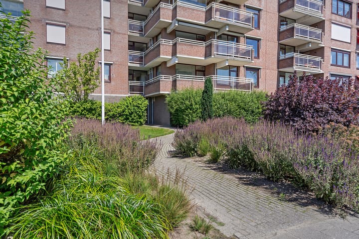 Foto 28 van Piratenweg 42