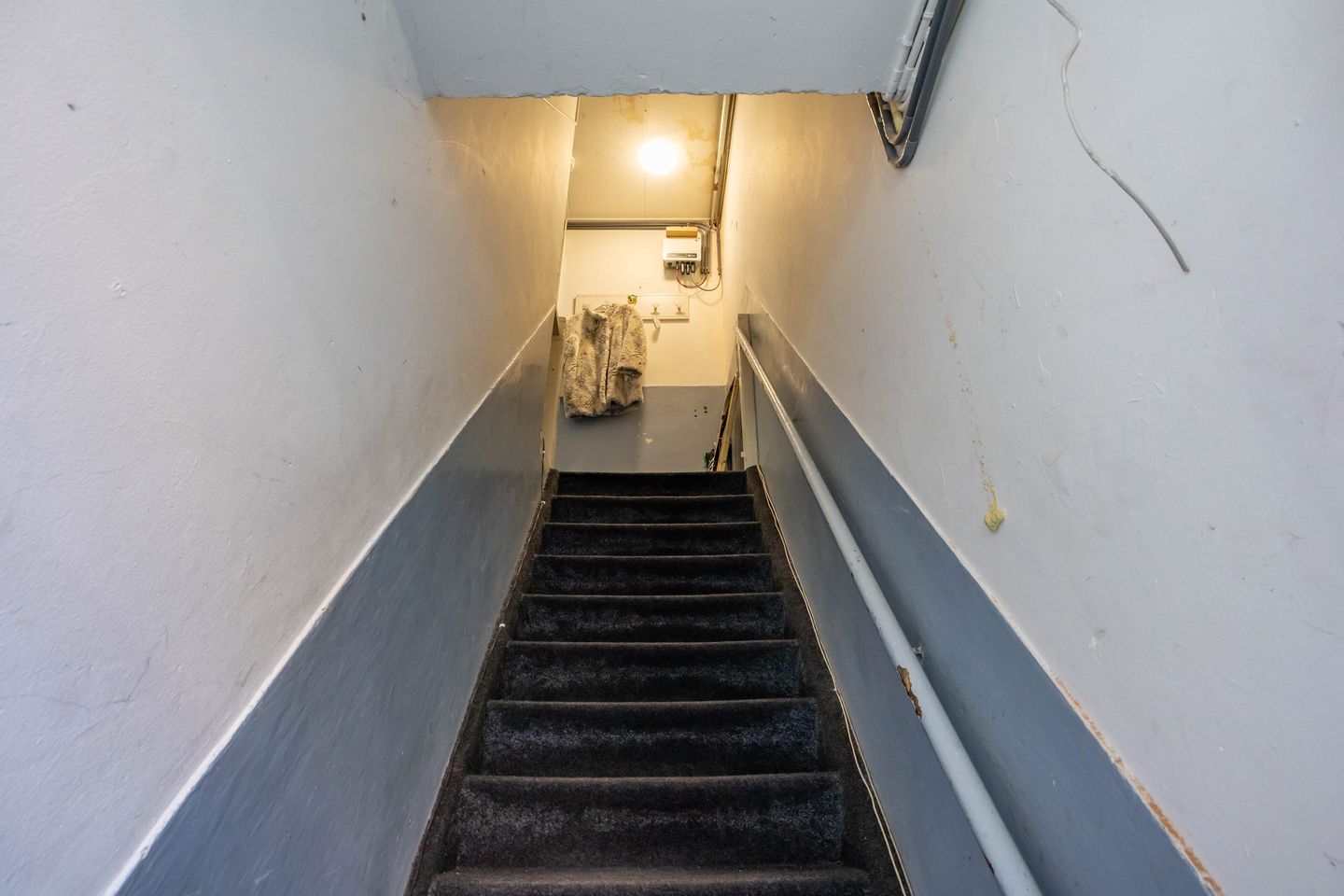 Foto 5 van Tuinbouwstraat 136-A