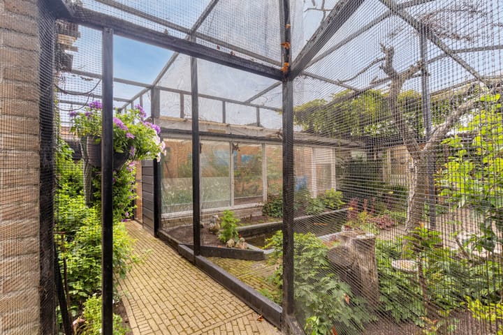 Foto 30 van Schorerstraat 37