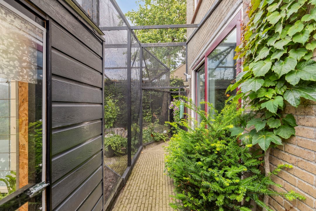 Foto 31 van Schorerstraat 37