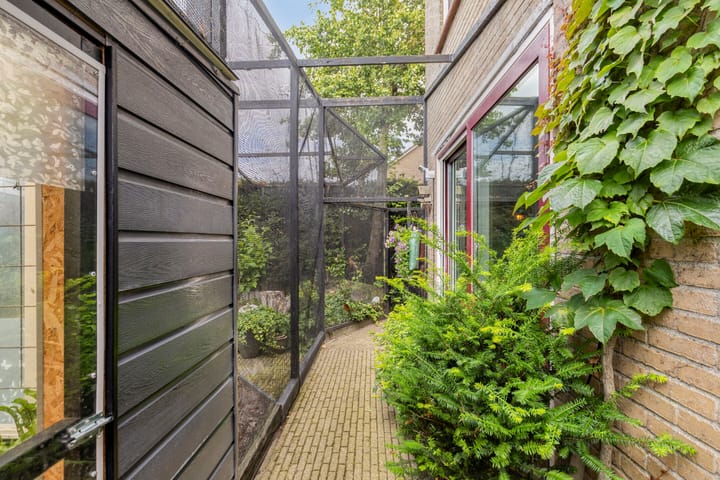 Foto 31 van Schorerstraat 37