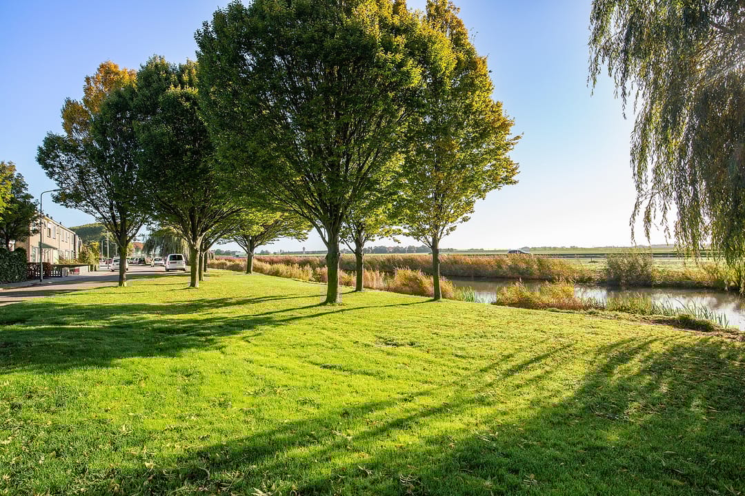 Foto 38 van Schorerstraat 37