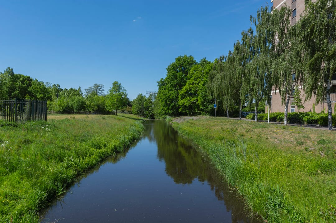 Foto 17 van Lodewijkdonk 35