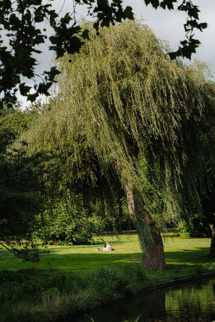 Foto 29 van Hoofdweg 353-3