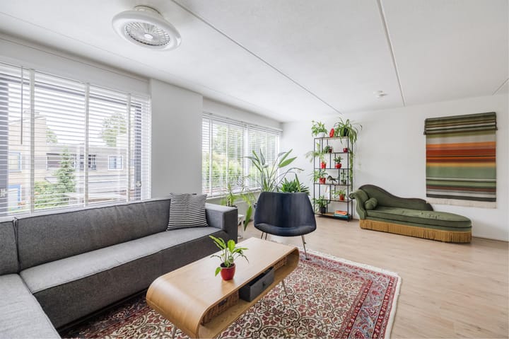 Foto 2 van Grauwe Gans 30