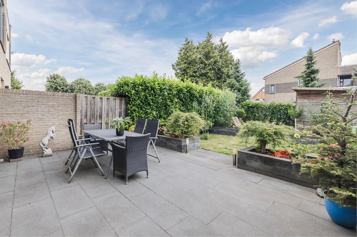 Foto 5 van Grauwe Gans 30