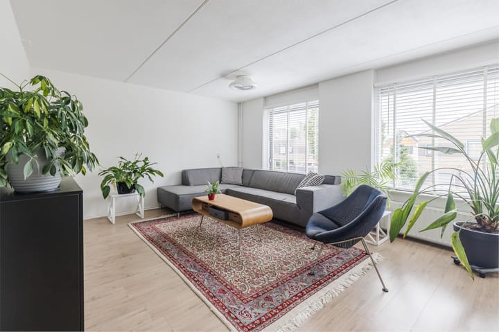 Foto 6 van Grauwe Gans 30