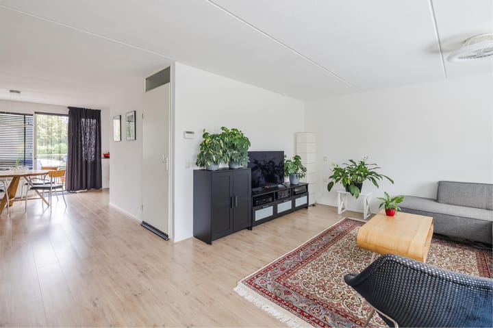 Foto 7 van Grauwe Gans 30