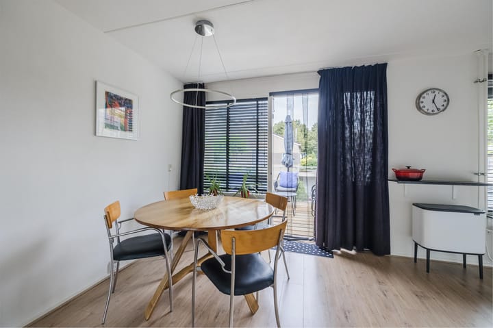 Foto 8 van Grauwe Gans 30