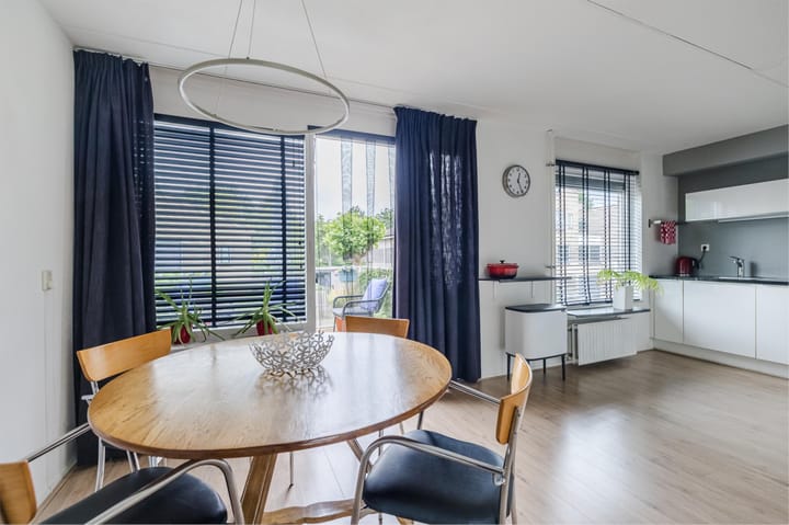 Foto 9 van Grauwe Gans 30