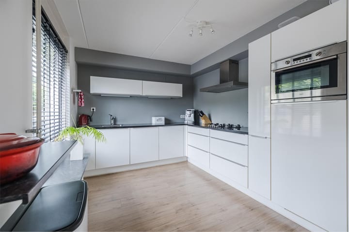 Foto 10 van Grauwe Gans 30