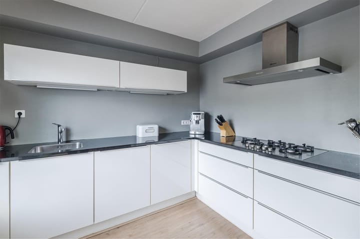 Foto 11 van Grauwe Gans 30