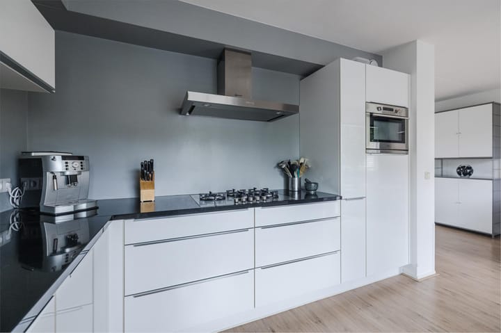 Foto 12 van Grauwe Gans 30