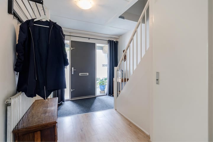 Foto 15 van Grauwe Gans 30