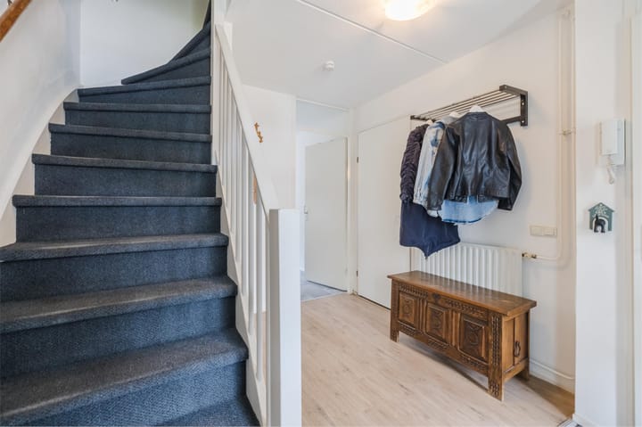 Foto 17 van Grauwe Gans 30