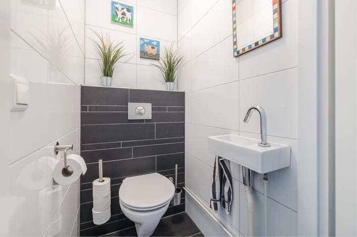 Foto 18 van Grauwe Gans 30