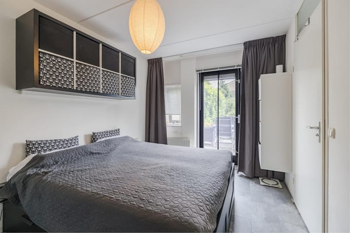 Foto 19 van Grauwe Gans 30