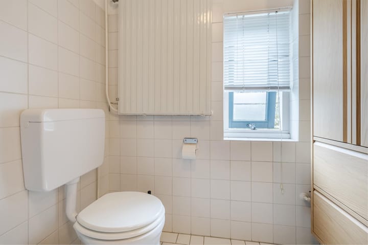 Foto 24 van Grauwe Gans 30