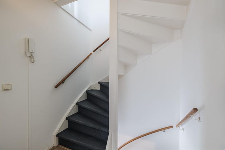 Foto 25 van Grauwe Gans 30