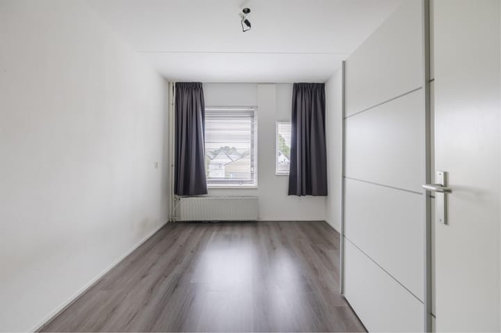 Foto 26 van Grauwe Gans 30