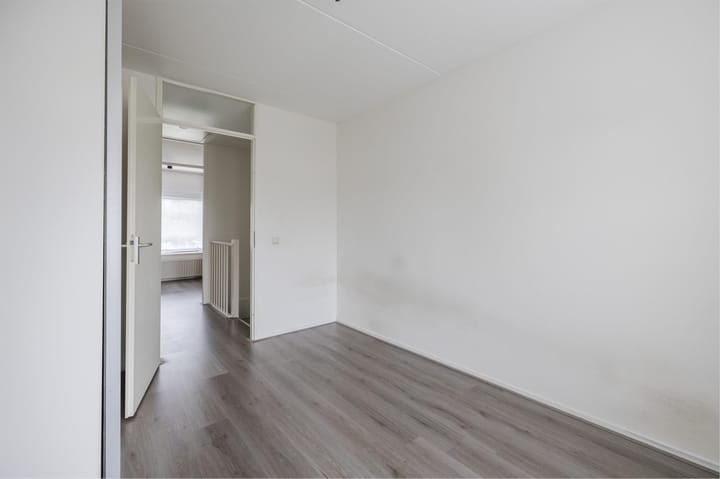 Foto 27 van Grauwe Gans 30