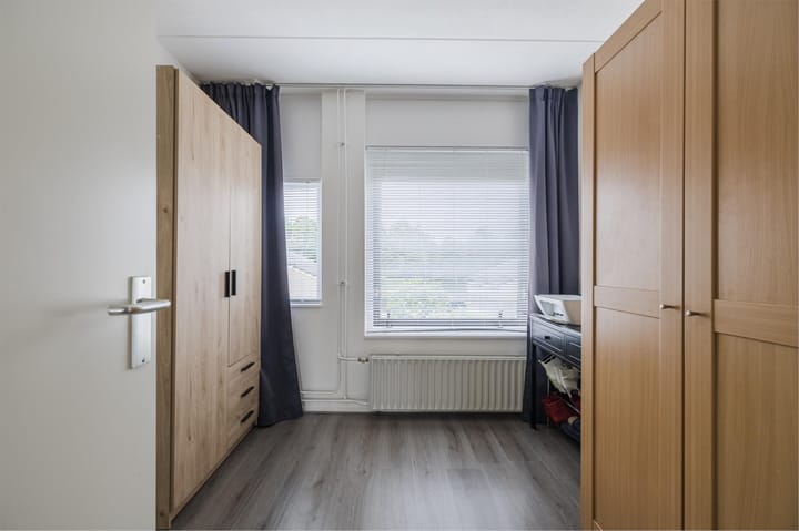 Foto 29 van Grauwe Gans 30