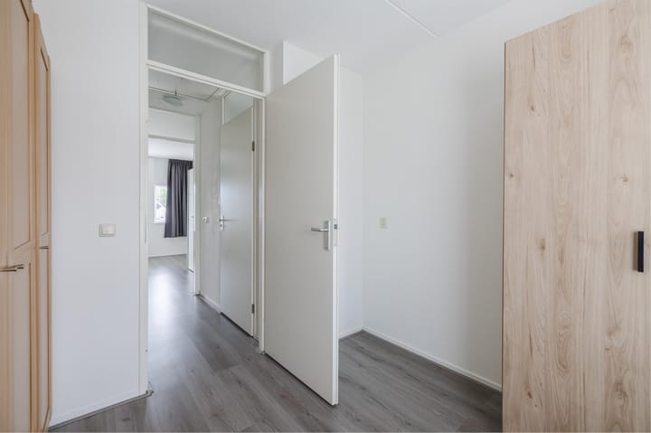 Foto 31 van Grauwe Gans 30