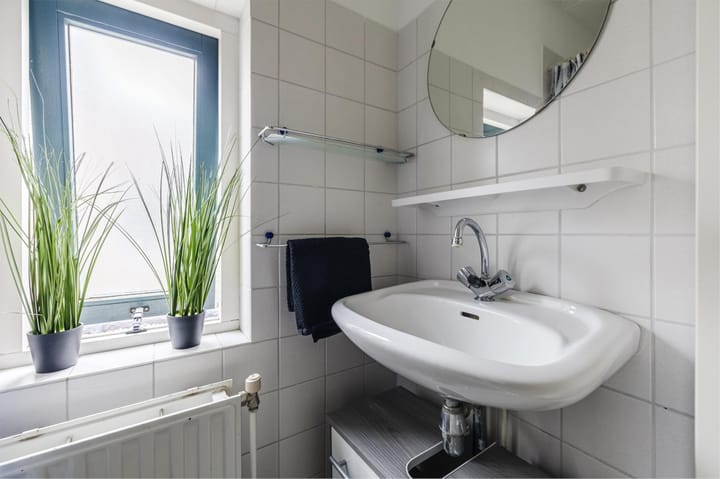 Foto 32 van Grauwe Gans 30