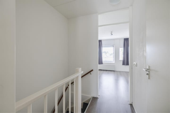 Foto 34 van Grauwe Gans 30