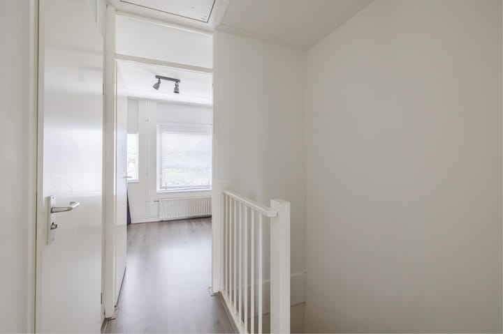 Foto 35 van Grauwe Gans 30