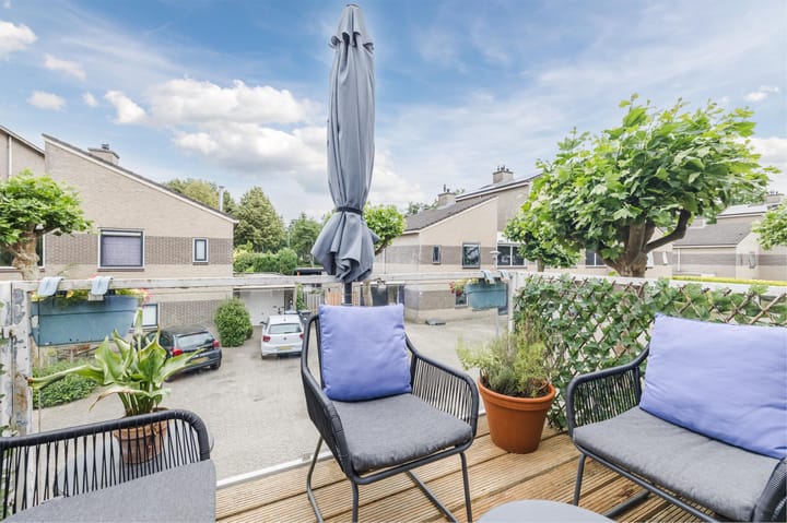 Foto 36 van Grauwe Gans 30