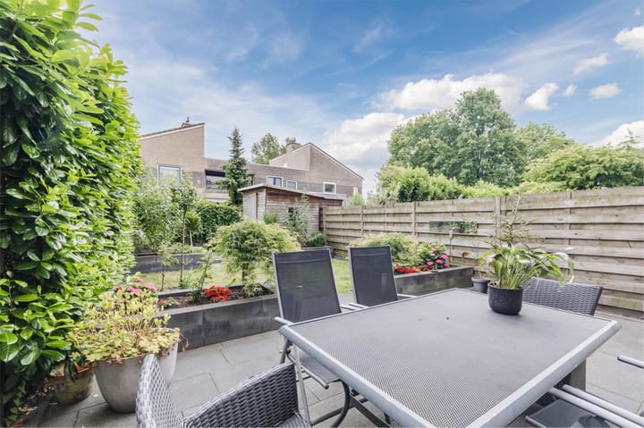 Foto 38 van Grauwe Gans 30