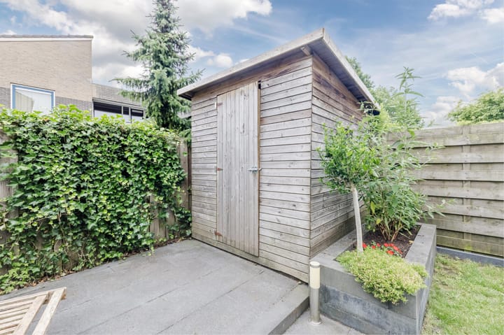 Foto 40 van Grauwe Gans 30