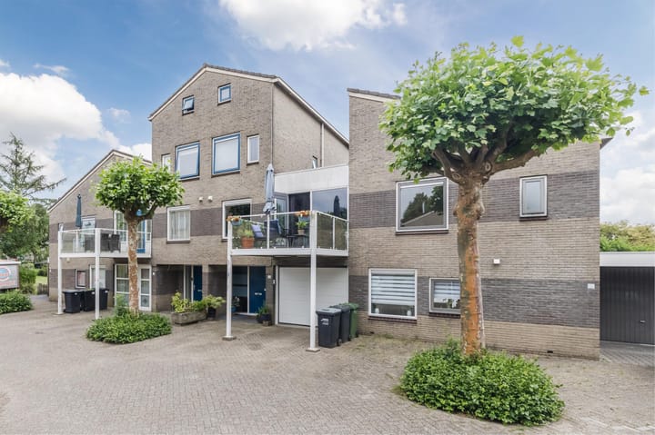 Foto 41 van Grauwe Gans 30