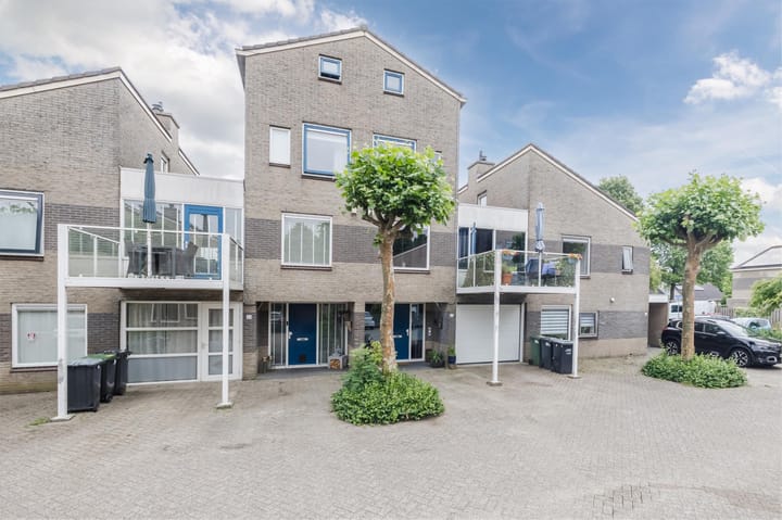 Foto 42 van Grauwe Gans 30