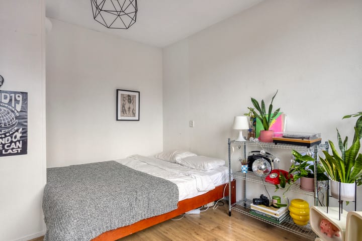 Foto 13 van Stroveer 284